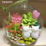 多肉植物と猫（テラリウム）