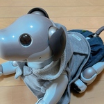 aibo用パーカー
