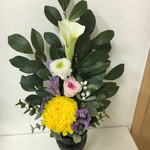 再販  ブリザード入り仏花  大輪黄菊