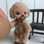 ～＊トイプー・チェアセット＊～