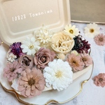 [送料無料/開店Sale]プリザの花箱✿Lacy Mauve Mix 花材セット 詰め合わせ プリザーブドフラワー ドライフラワー