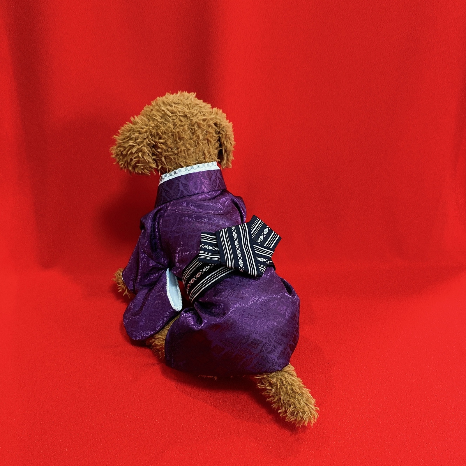 犬の袴✨本格着物&袴セット わんこ着物 京都西陣織金襴生地 犬服