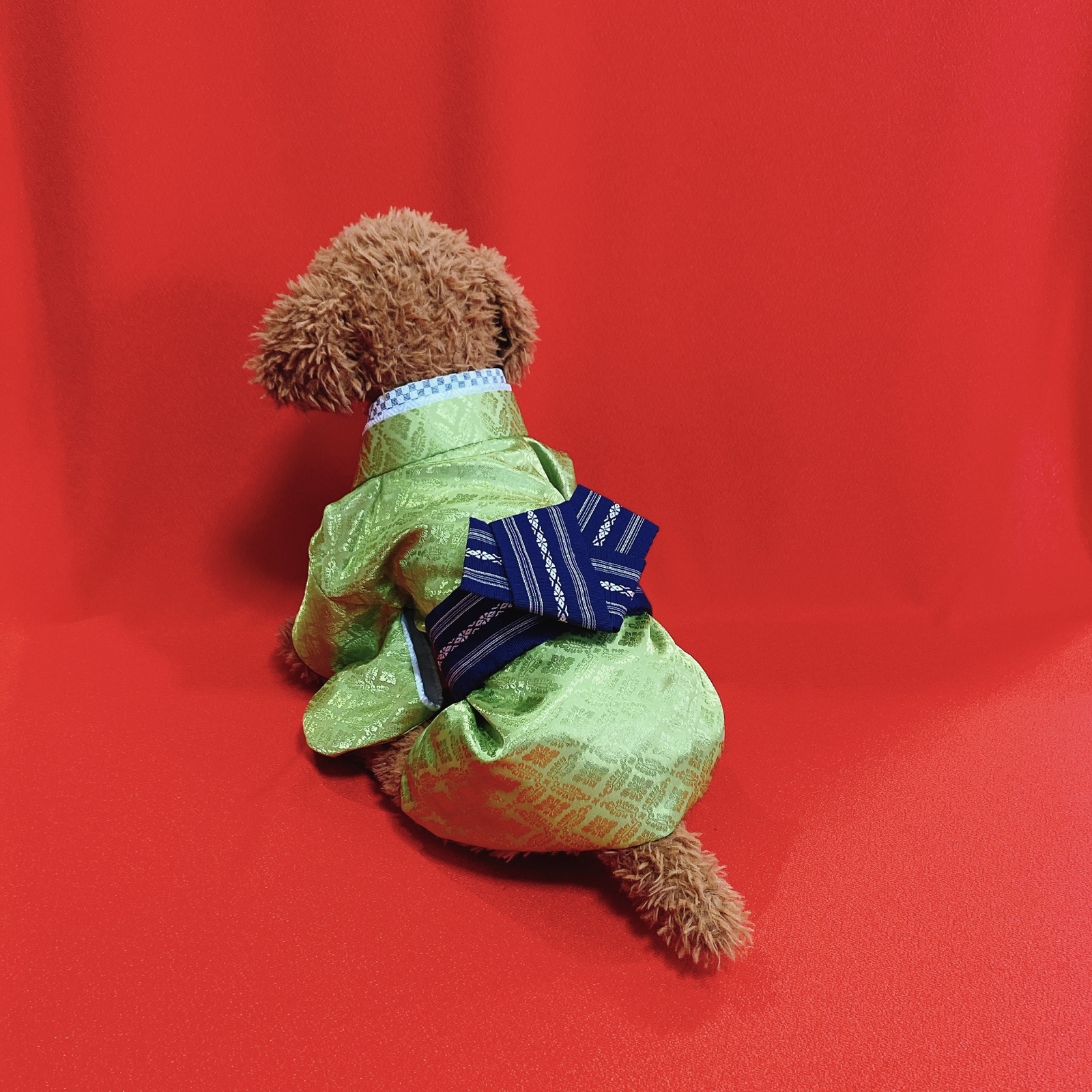 犬の袴✨犬用本格着物&袴セット 西陣織金襴 若草色×紺系 七五三