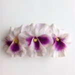 pansy barrette☆pink 