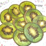 ♡新作♡作家様必見♡ 可愛いキウイがいっぱい♡ 押しフルーツ
