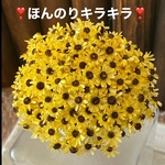 ほんのりキラキラ❣️向日葵🌻スターフラワーミニアレンジ加工30輪販売❣️ハンドメイド花材カラードライフラワー