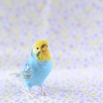 ムギちゃん専用お迎えページ