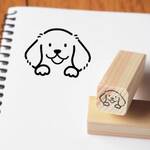 L19 ひょっこりゴールデンレトリバー