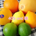 405-and様 