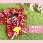 🌸お雛様スタイ🌸