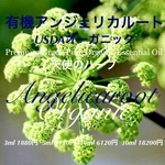 有機（USDAオーガニック）アンジェリカルート精油3ml
