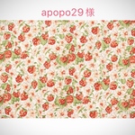◆apopo29様専用オーダーページ◆