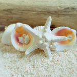 No.19 コブヒトデバレッタ