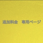 オーダー品　追加料金③