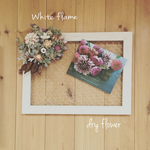 White flame dry flower