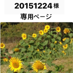 お客様専用ページ