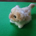 猫ちゃんです