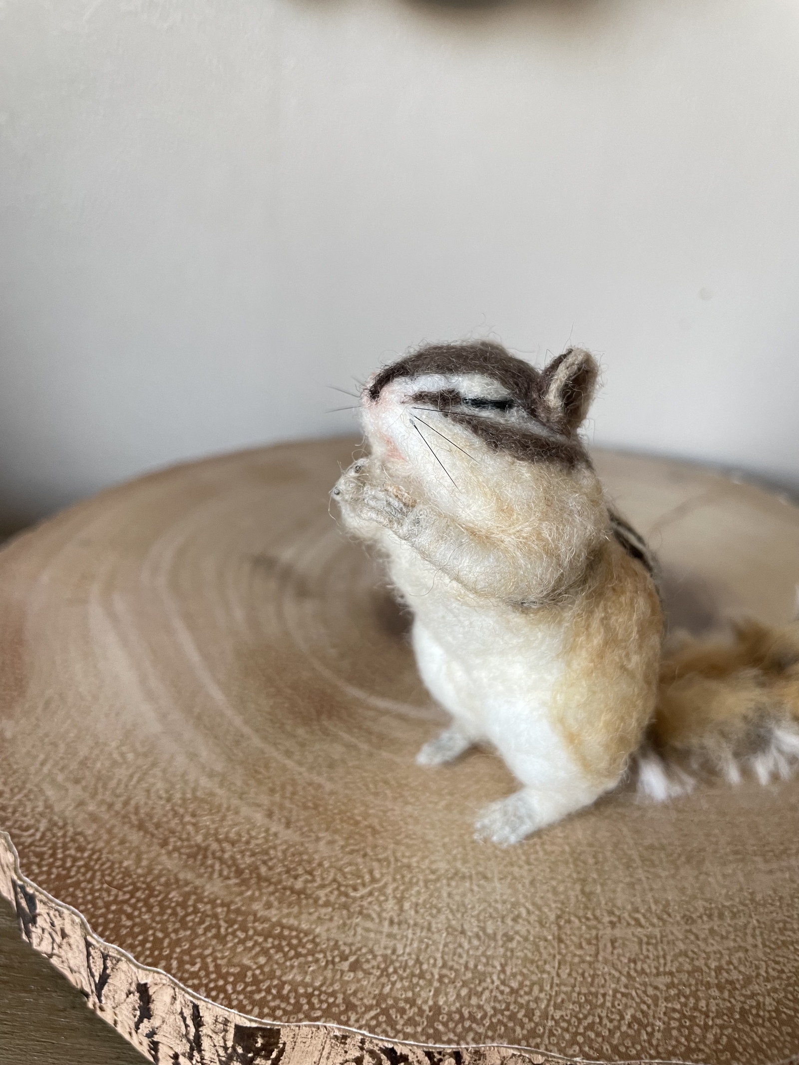 シマリス　リース（大、中）　羊毛フェルト シマリス リース（大、中） 羊毛フェルト Yahoo!オークション