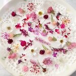 ドライフラワー  花材 赤ピンク白系＊小花アソート