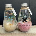 訳有り半額 !!【小さな水槽】熱帯魚 * ハーバリウム