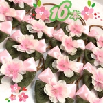 【送料無料】🌸 さくら抹茶レースリボン🌸業務用チョーカー【１６本】トリミングリボン　トリミングチョーカー