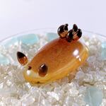 Uo114 ［エクレア］宇宙を宿すガラスの目ありウミウシ