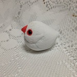 コロコロ白文鳥（小）