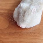 Uco様 専用ページ