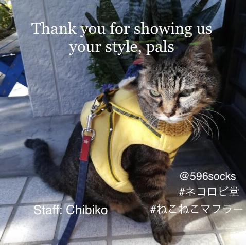 ✳︎仲間たちの着こなし