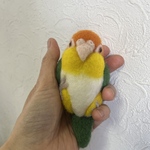 受注制作　インコちゃんブローチ　(羊毛フェルトanhome)