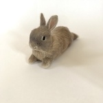 【a...i3様専用】うさぎ  羊毛フェルト オーダー