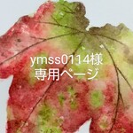 ymss0114様専用ページ
