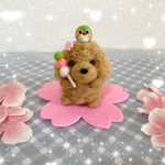 🌸🌸るんるん♪お花見トイプードルちゃん🌸🌸
