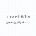 mizuho-13様専用追加料金調整ページ