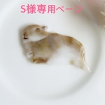S様専用　Uちゃんのスヤスヤブローチ