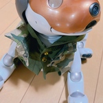 迷彩柄ジャケットとパーカーシャツ