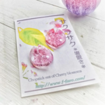 桜のはしおき「サクラサク」クリア2ｐ＊購入前に在庫の有無をお問い合わせください