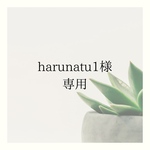 harunatu様オーダー品