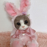 increasinglyさま専用ページ　うさぎの着ぐるみわんちゃん　