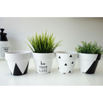 《4号》WHITE&BLACK ペイント鉢