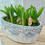 甘い香り🐇ヒアシンスとムスカリの寄せ植え(うさぎ付き)