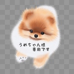 うめちゃん様専用です  他の方のご購入はご遠慮ください。