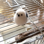 ぽってりシマエナガ