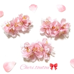 可愛い桜🌸