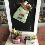 多肉植物寄せ植えおトク3個セット　C