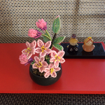 ②桜の盆栽