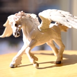 聖なる霊獣🌈ペガサス🌈