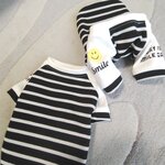 犬服！ボーダー！ニコちゃん