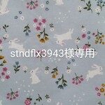 stndflx3943様専用