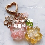 hosizora22様 専用ページ